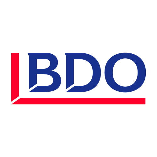 BDO logo RGB  sin margen